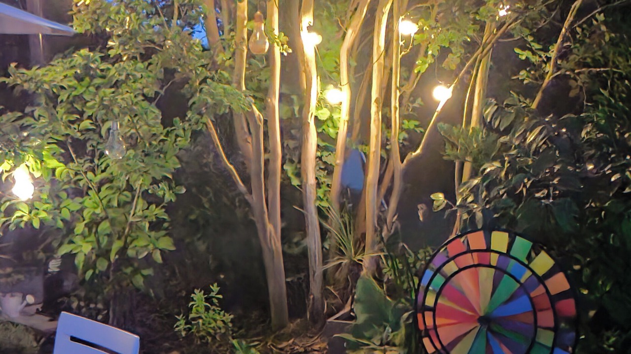 Photo of Outdoor in Avrille