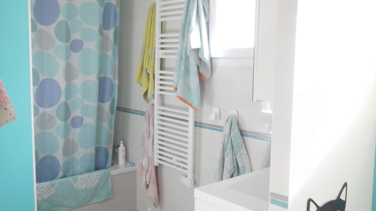 Photo of Bathroom in Givrand