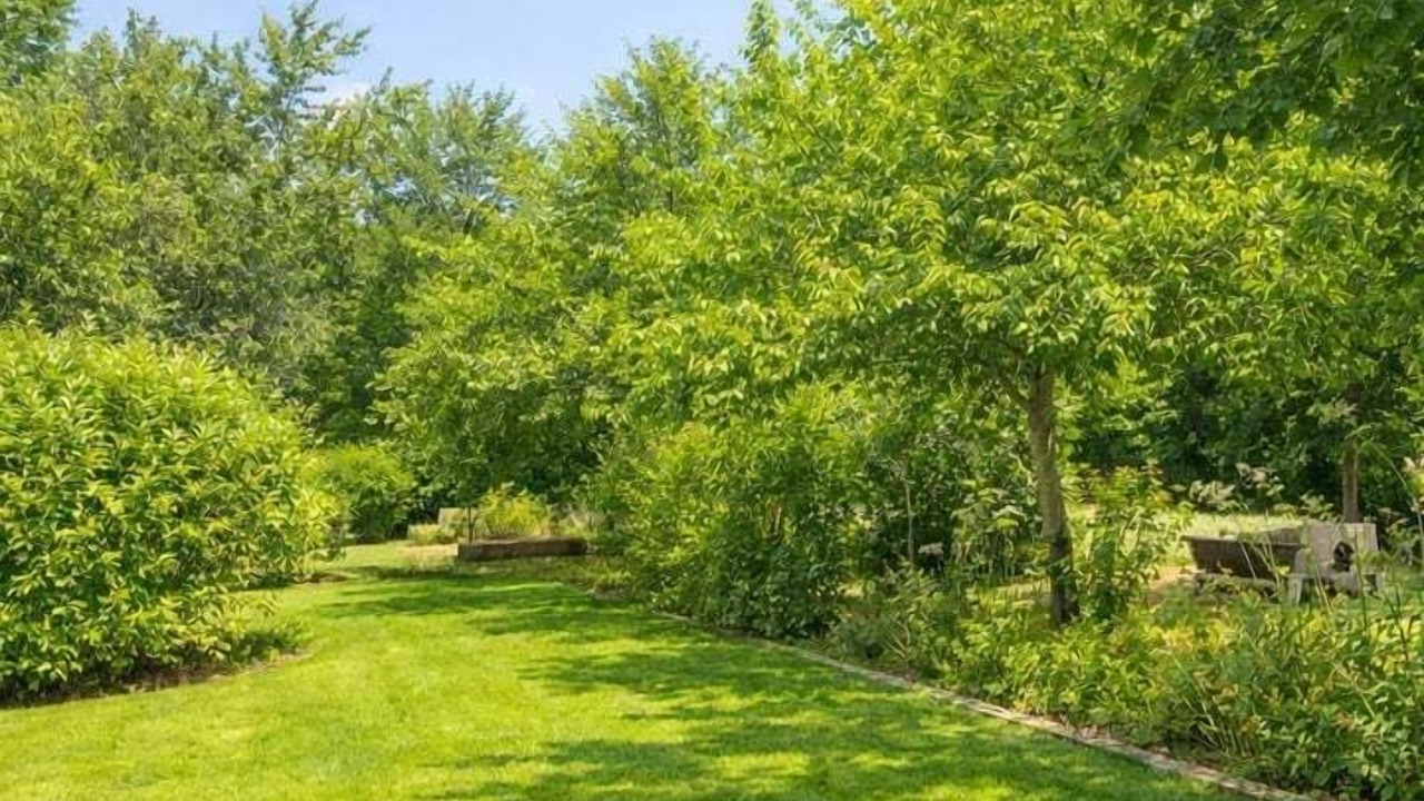 Photo of Outdoor in Saint-Cyr-sur-Loire