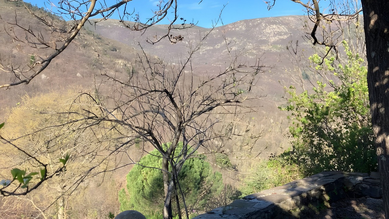 Photo of Outdoor in Sablieres