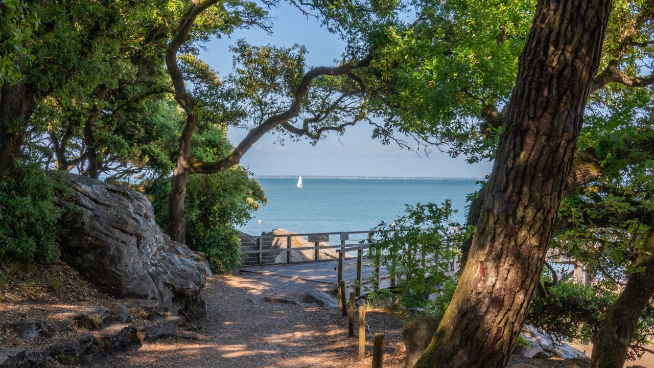 Photo of Others in Noirmoutier-en-l'Ile