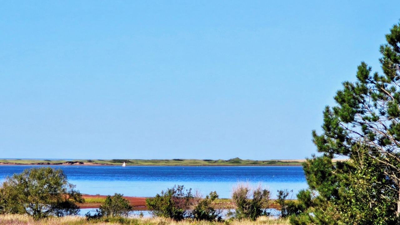 Photo of Others in Malpeque