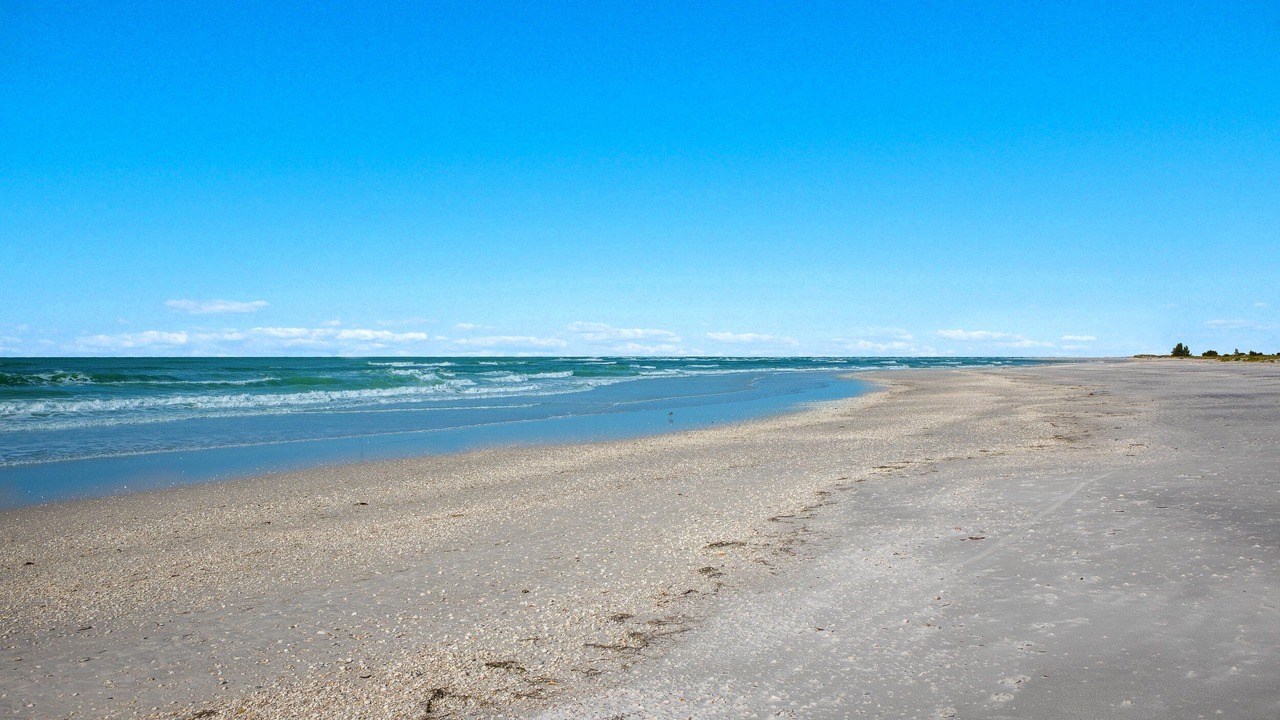 Photo of Others in Boca Grande