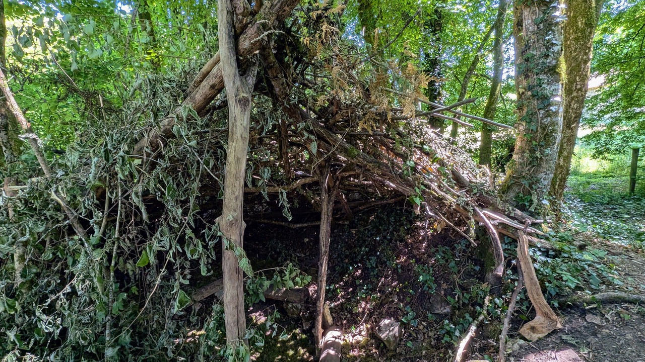 Photo of Others in Montigny-les-Cherlieu