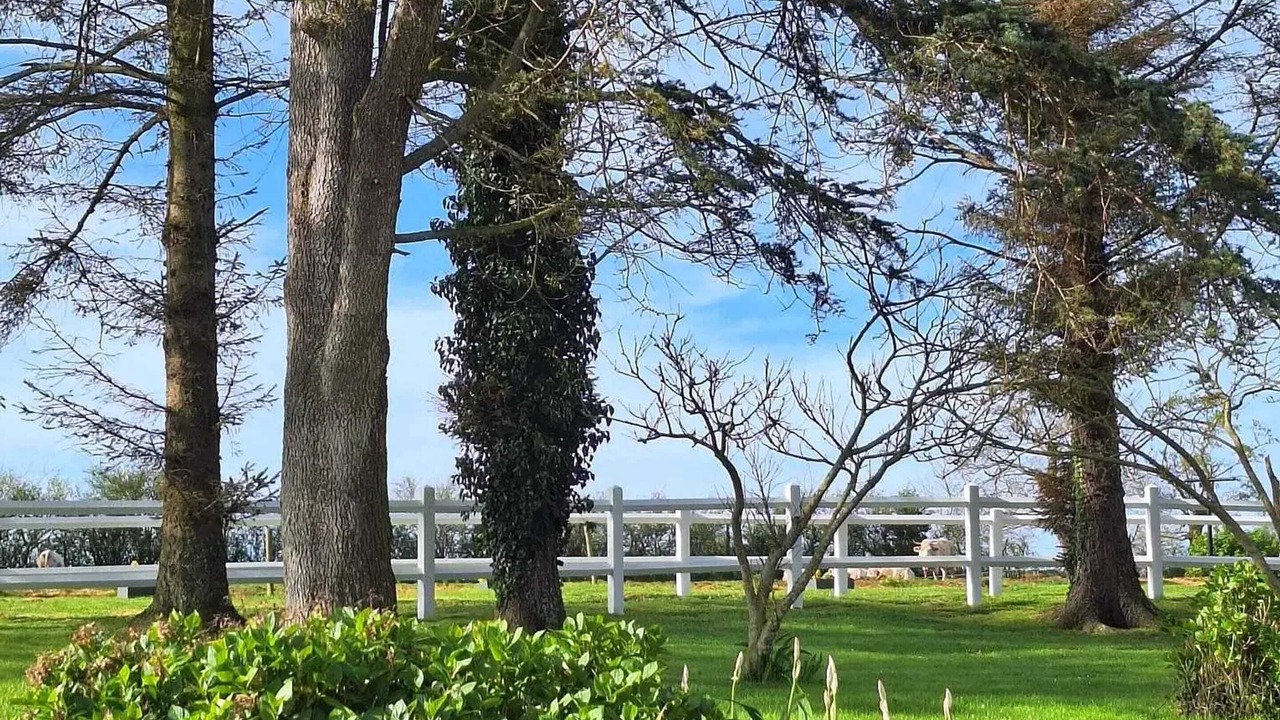 Photo of Outdoor in Monfreville