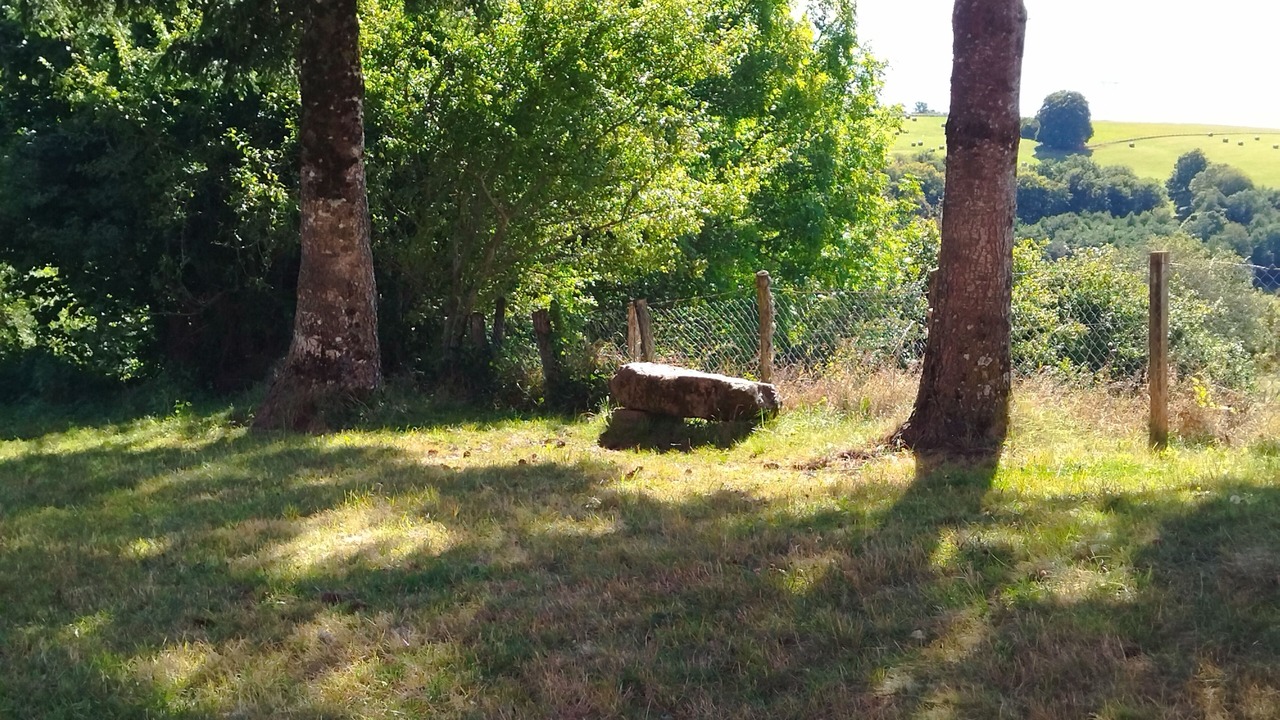 Photo of Outdoor in Saint-Genes-Champespe