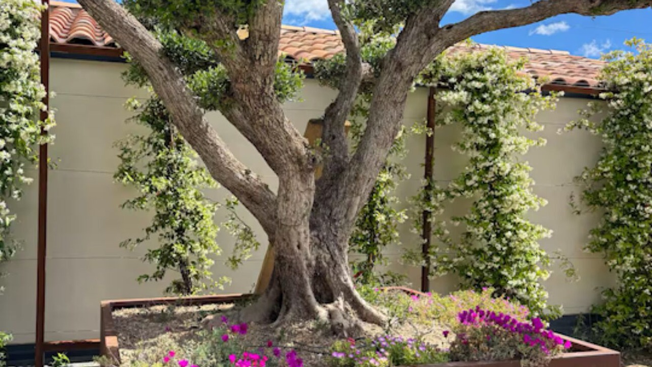 Photo of Outdoor in Saussan