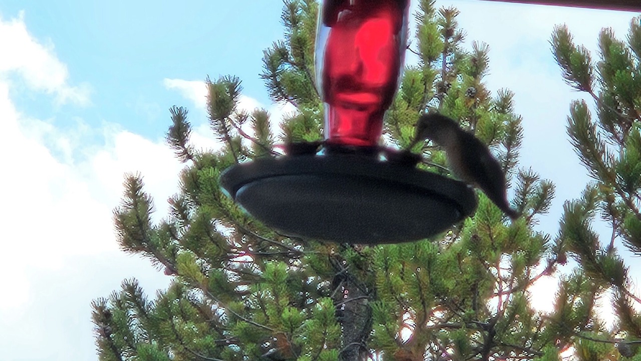 Photo of Others in Leadville
