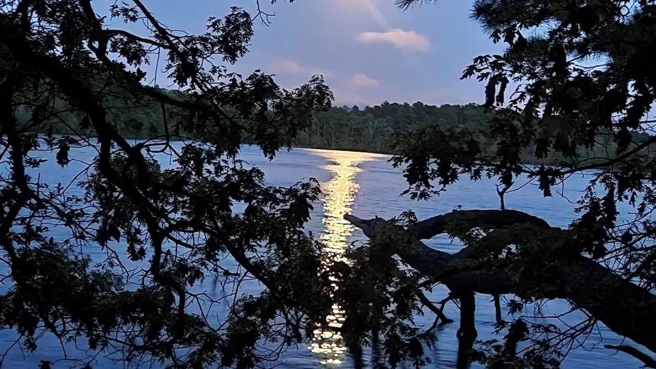 Photo of Others in Marstons Mills