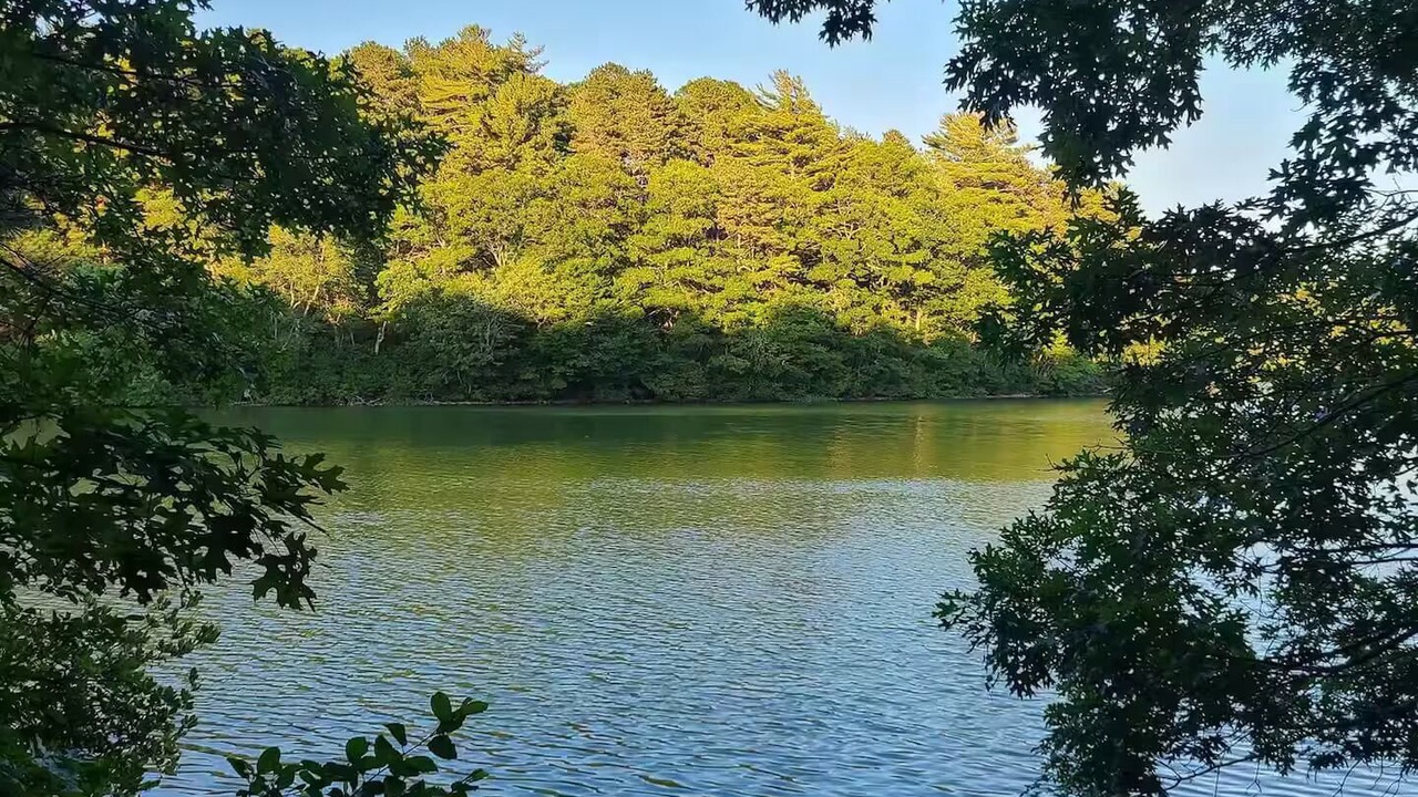 Photo of Others in Marstons Mills