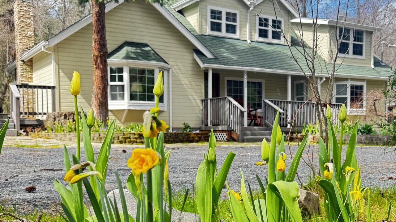 Photo of Outdoor in Jacksonville