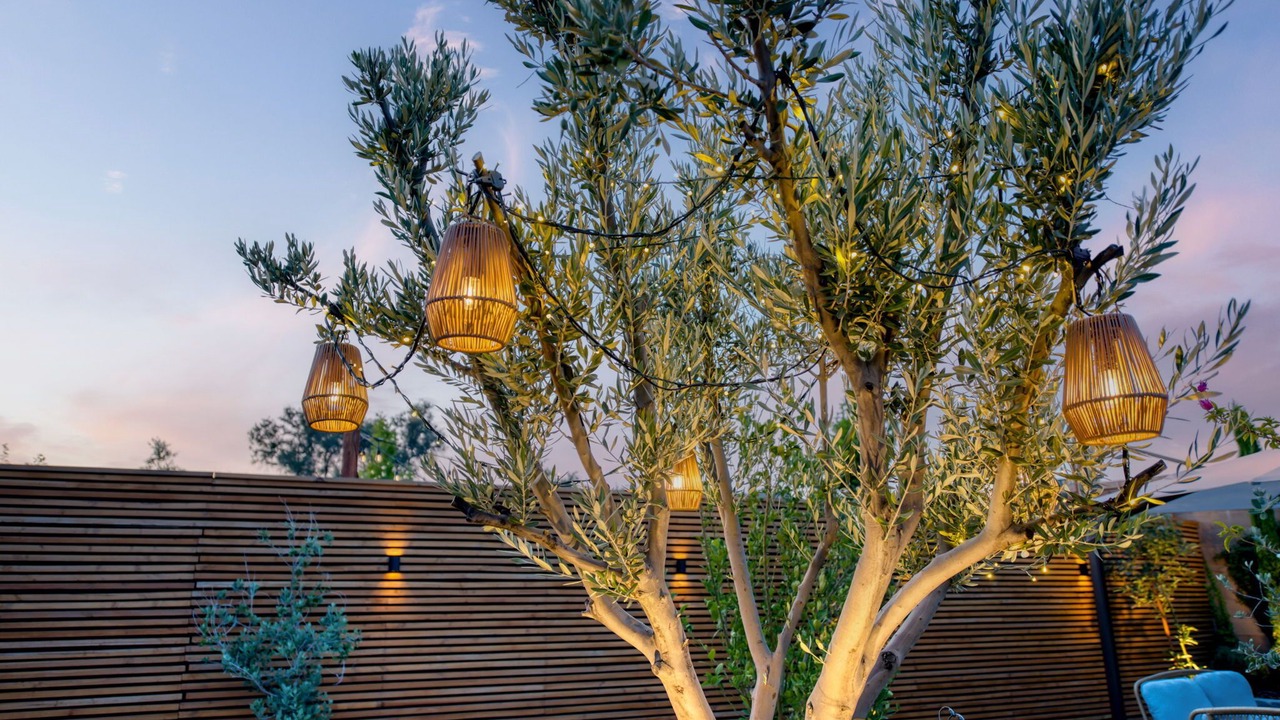 Photo of Outdoor in Raisin