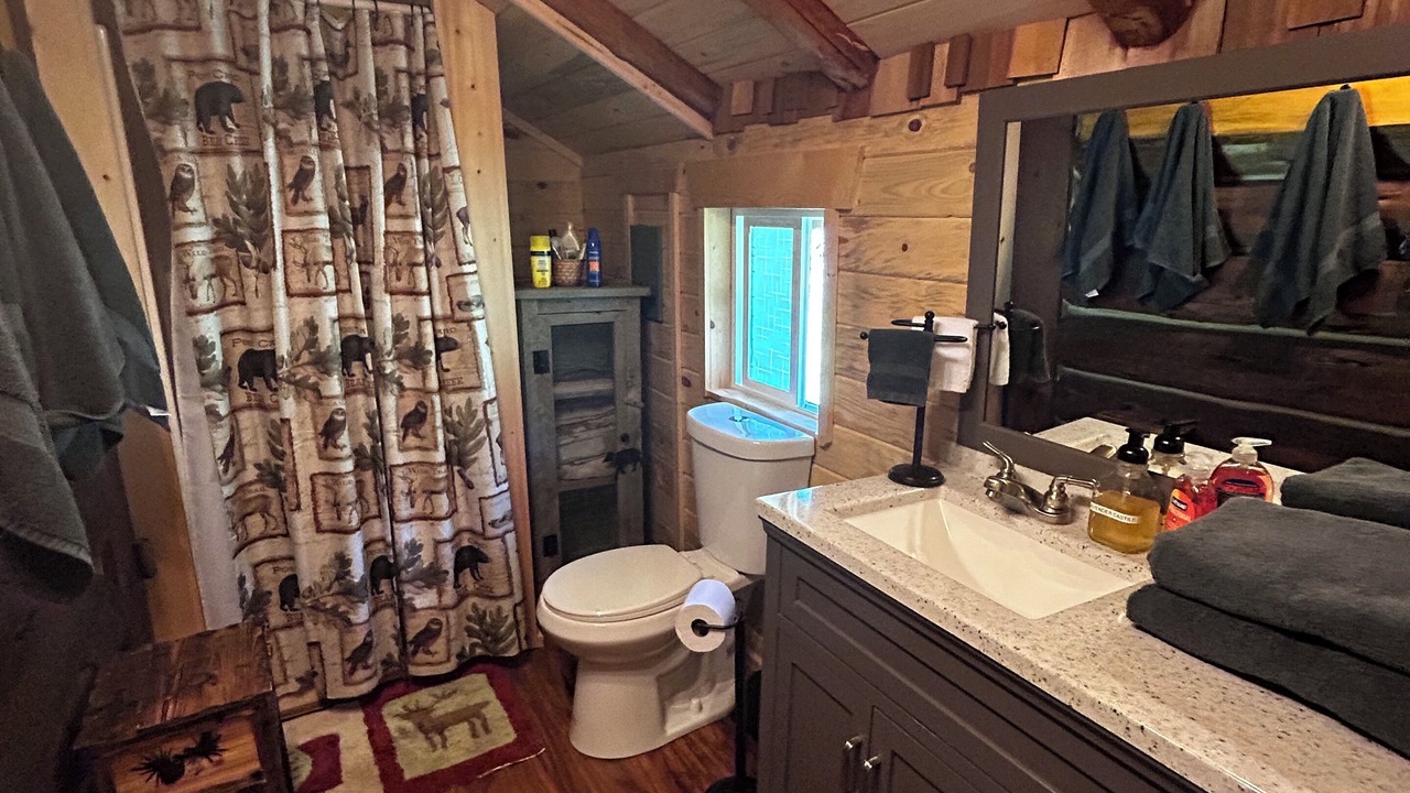 Photo of Bathroom in Cooke City-Silver Gate