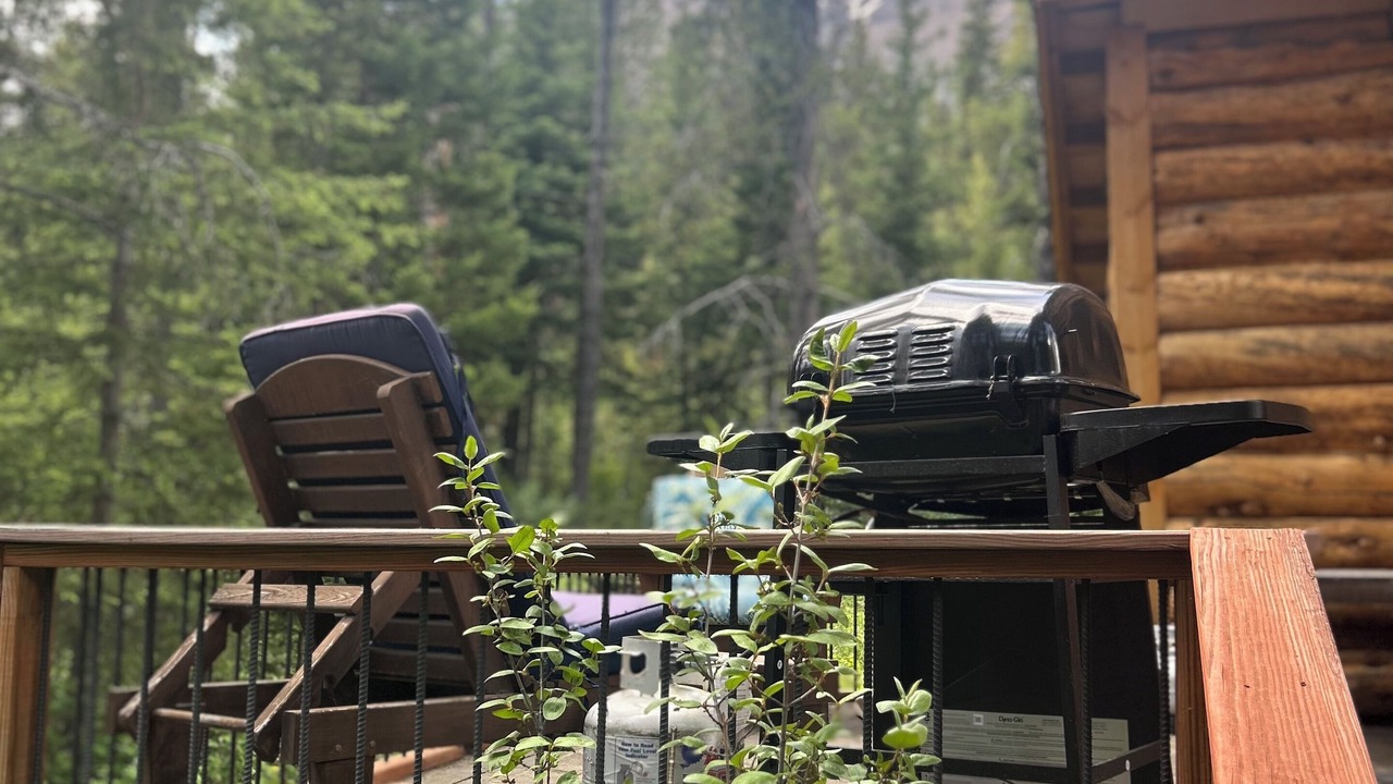 Photo of Outdoor in Cooke City-Silver Gate