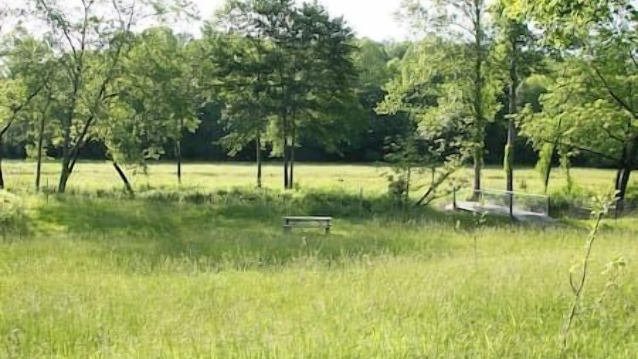 Photo of Others in Ridgeline Vistas
