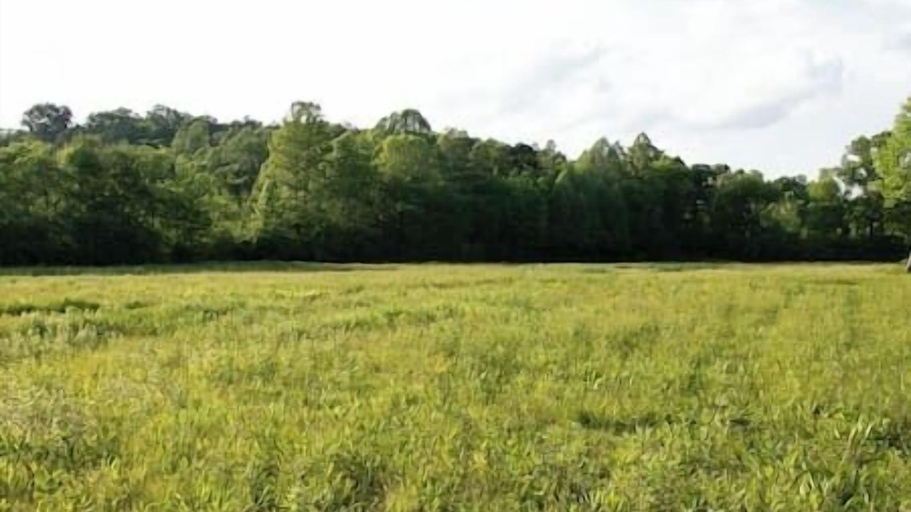 Photo of Others in Ridgeline Vistas
