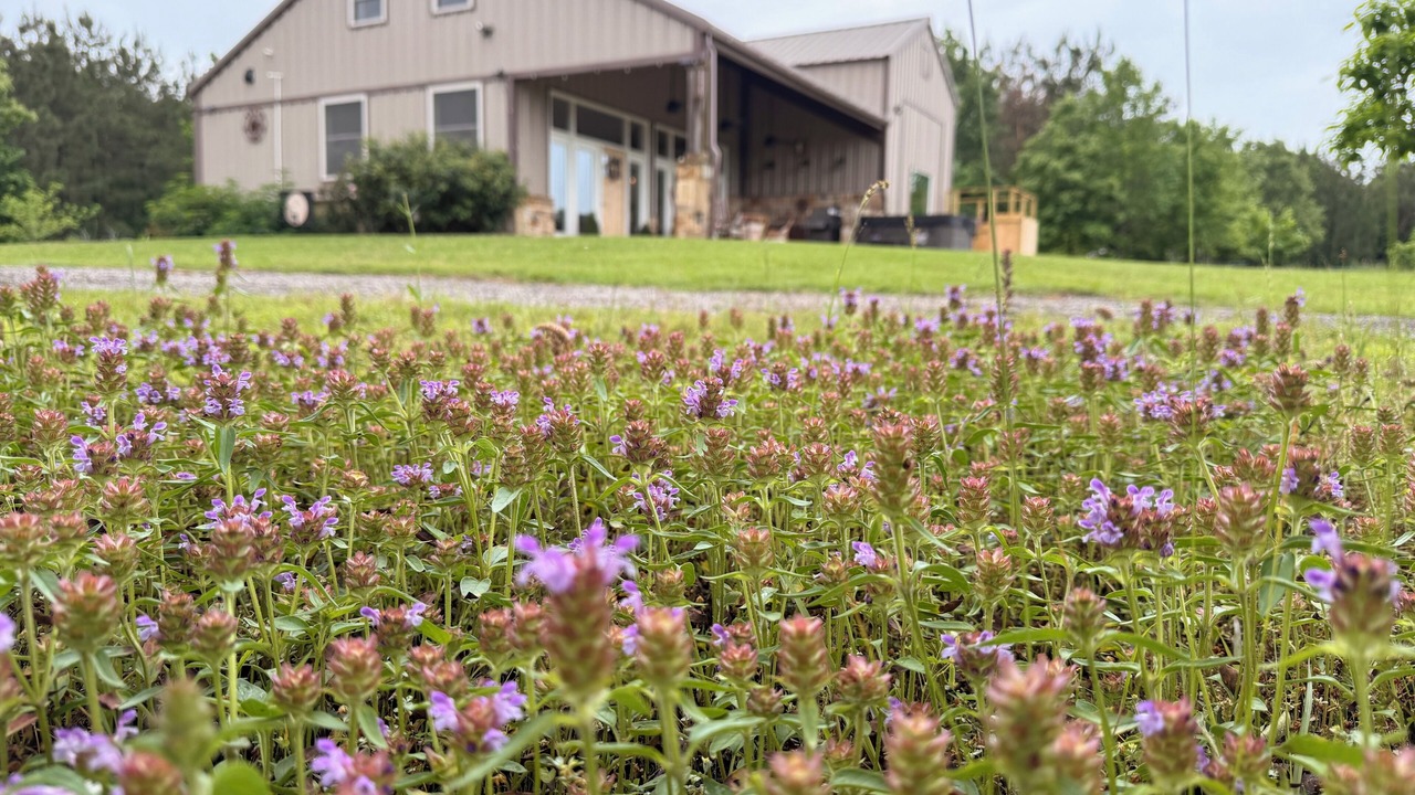 Photo of Outdoor in Cherokee County