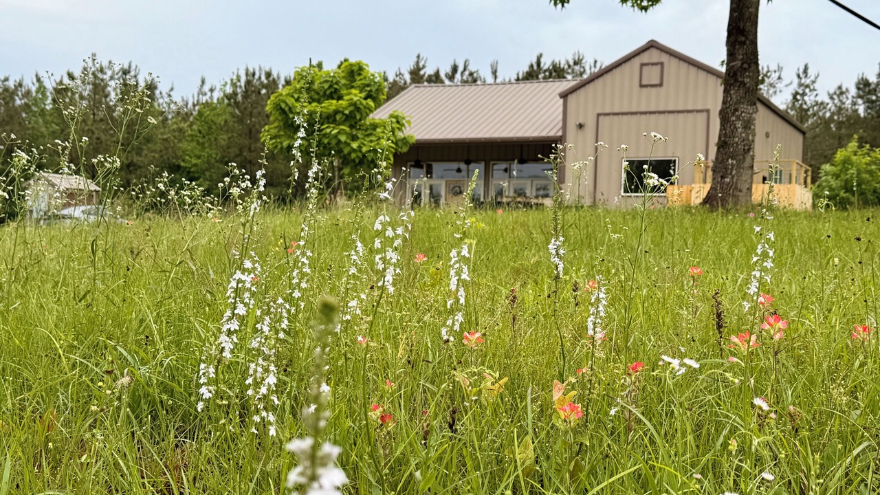 Photo of Outdoor in Cherokee County