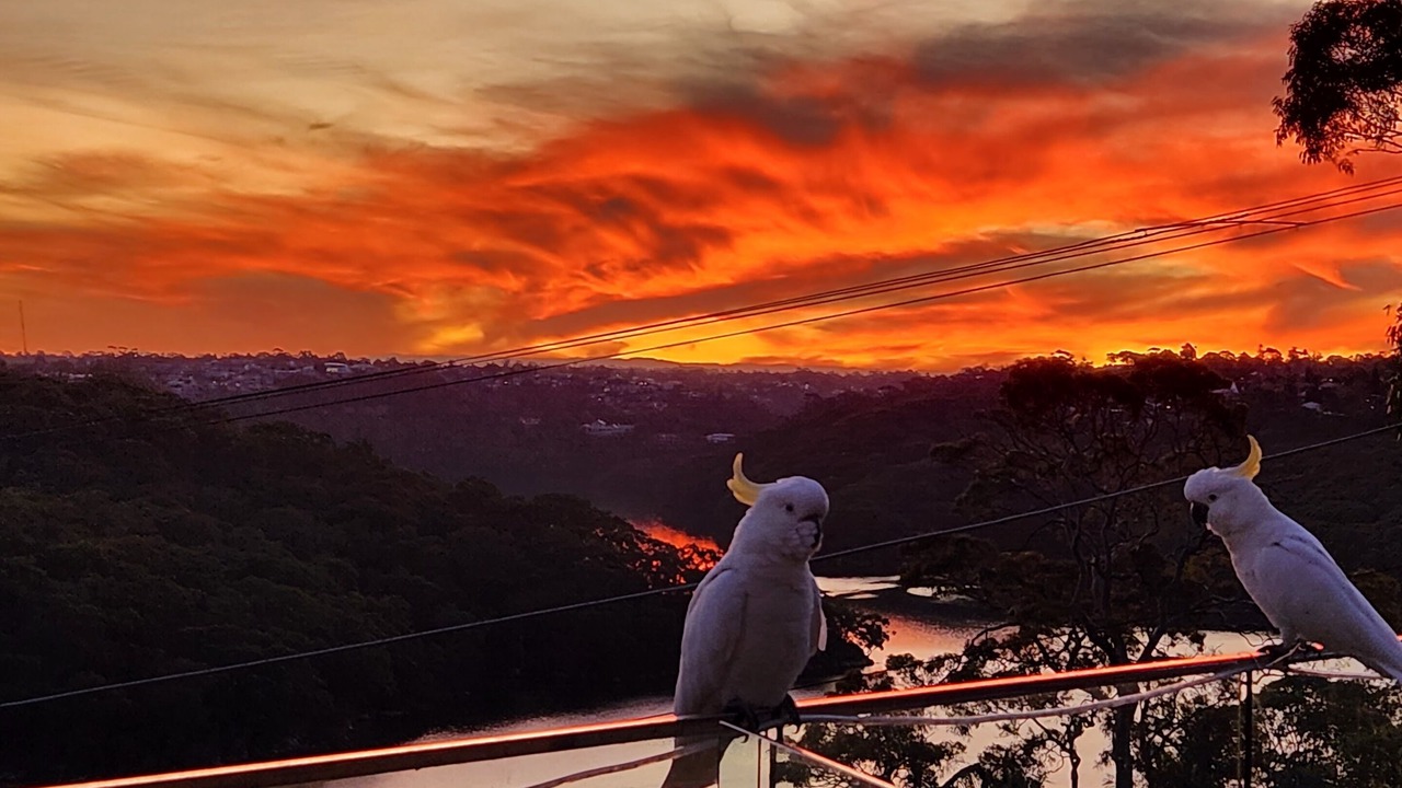 Photo of Others in Seaforth