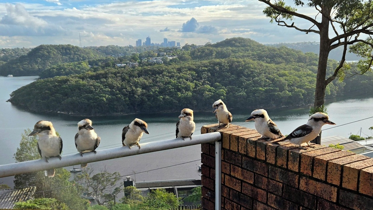 Photo of Others in Seaforth