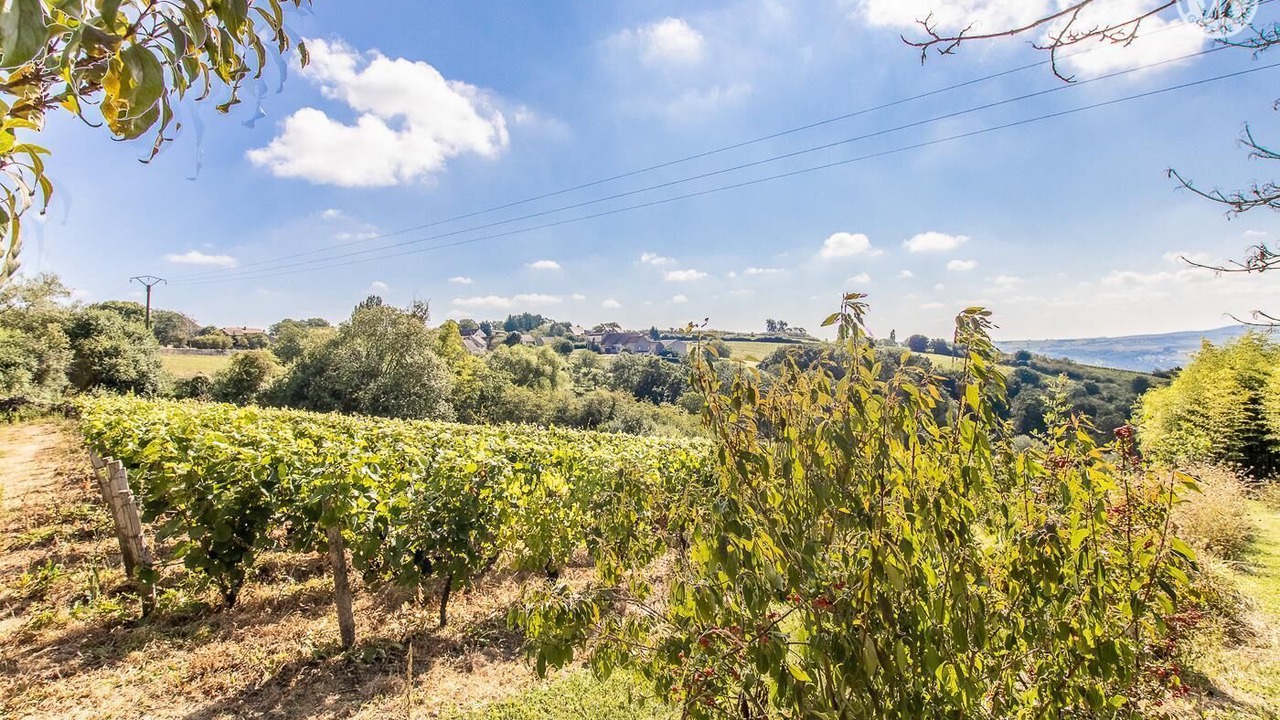 Photo of Others in Saint-Sernin-du-Plain