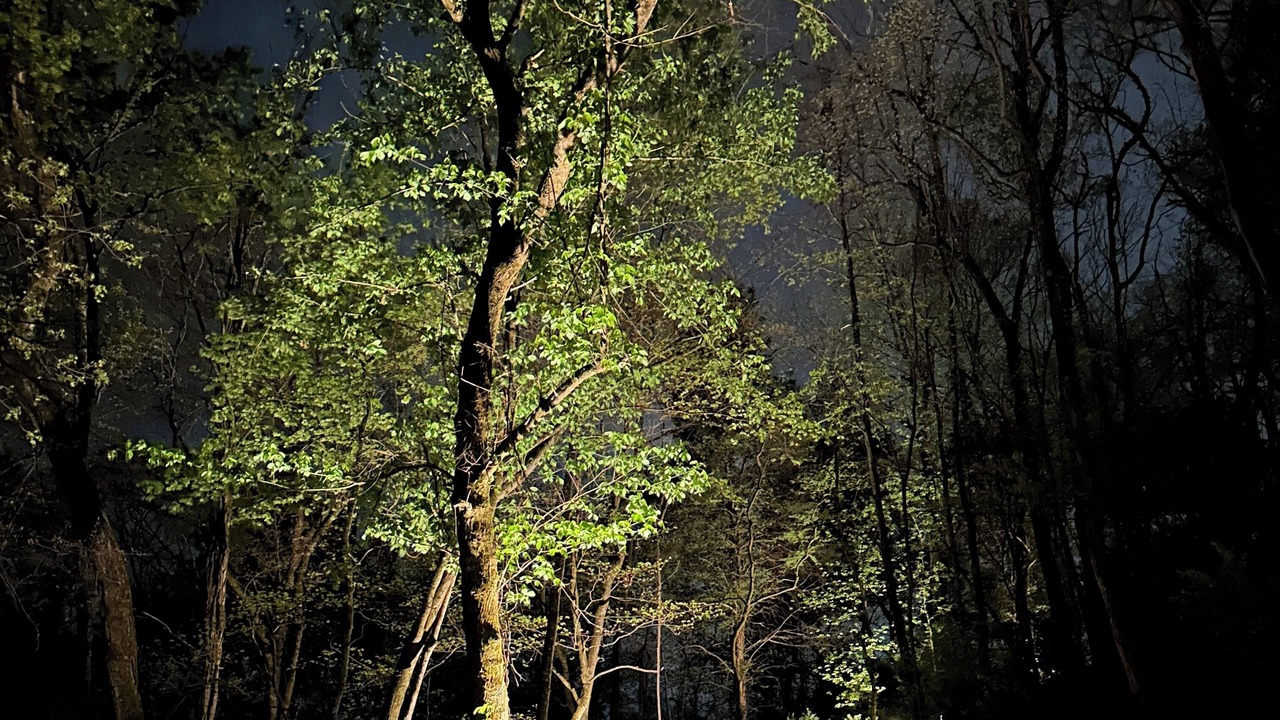 Photo of Others in Knoxville