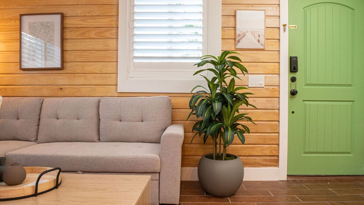 Photo of Livingroom in Madeira Beach