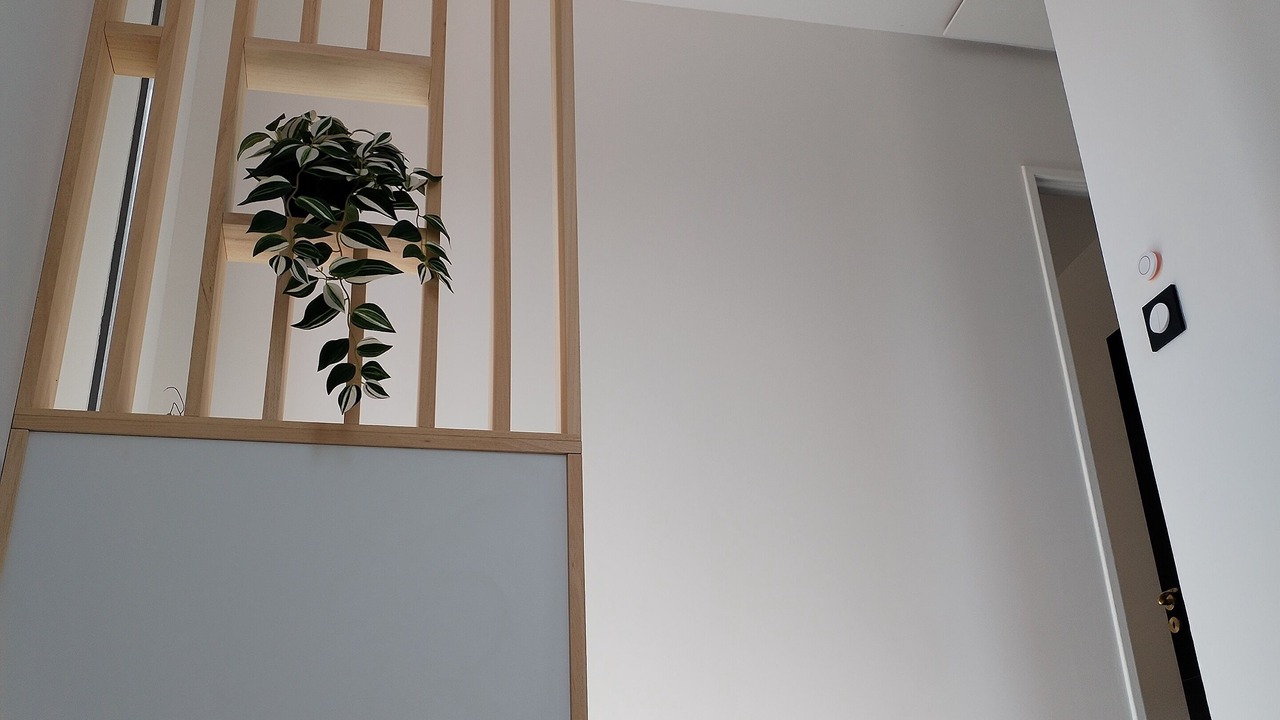 Photo of Others in Mus