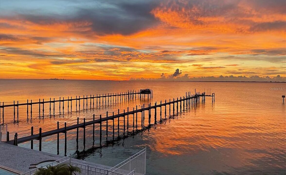 Photo of Others in Apollo Beach