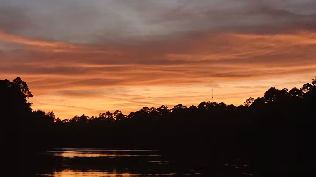 Photo of Others in Cordele