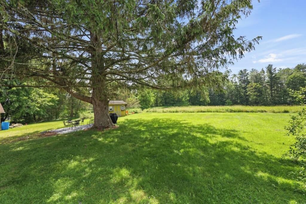Photo of Outdoor in Lee