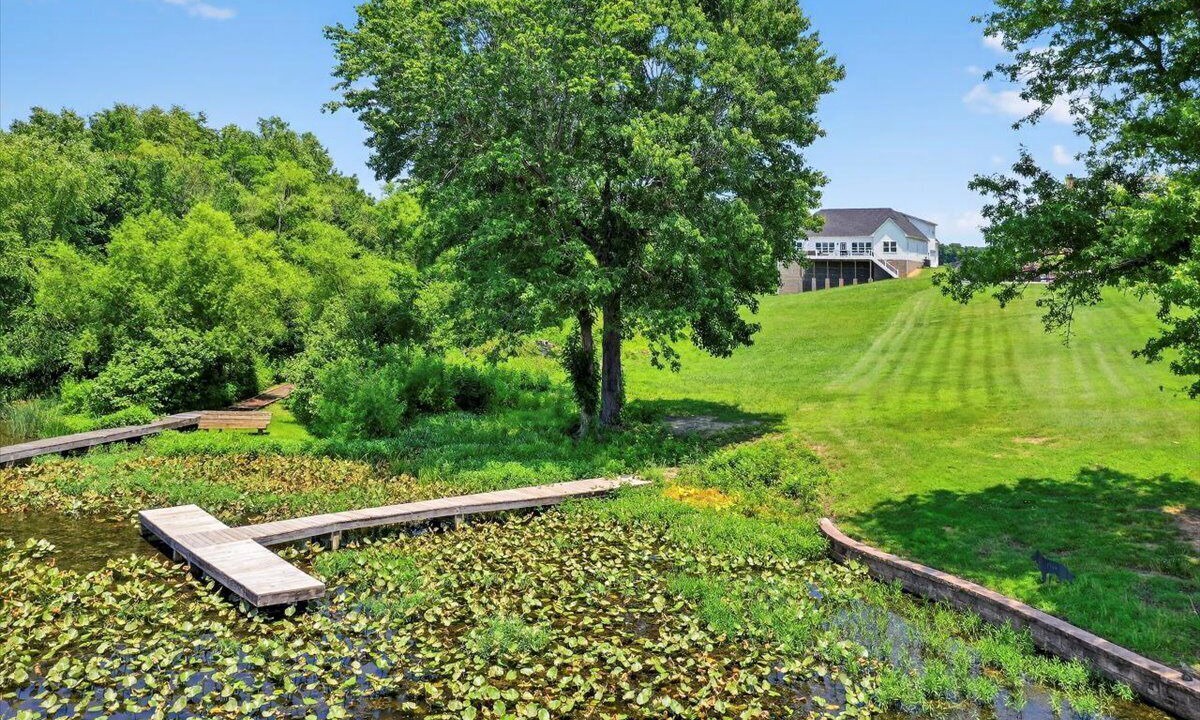 Photo of Outdoor in Orange