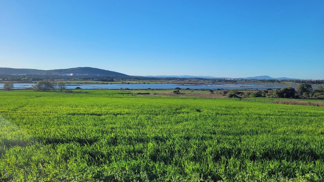 Photo of Others in Villeneuve-les-Maguelone