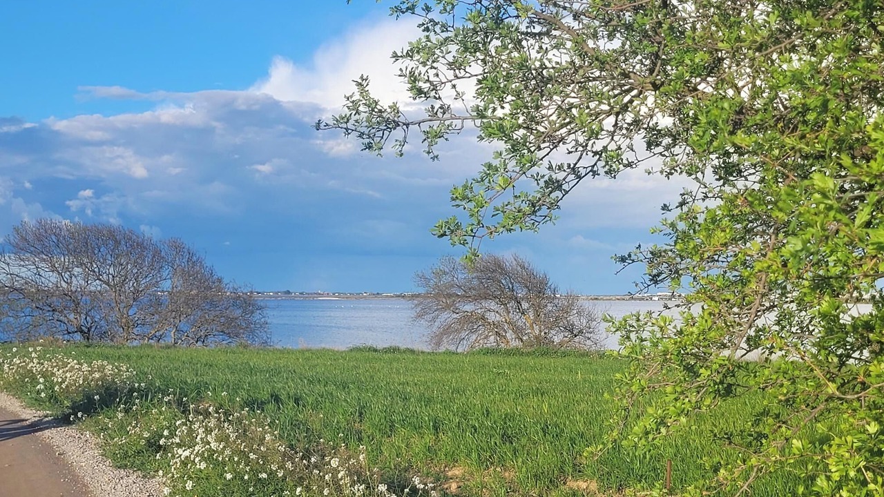 Photo of Others in Villeneuve-les-Maguelone