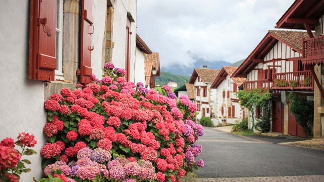 Photo of Outdoor in Sare