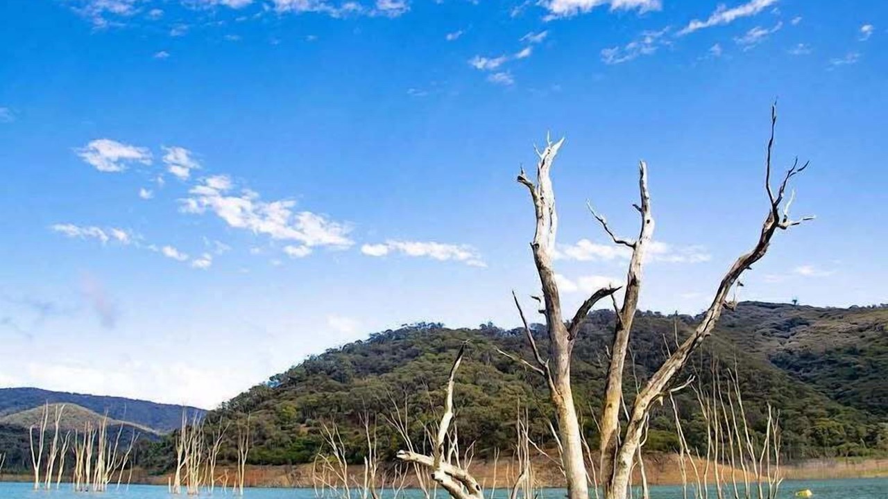 Photo of Others in Macs Cove