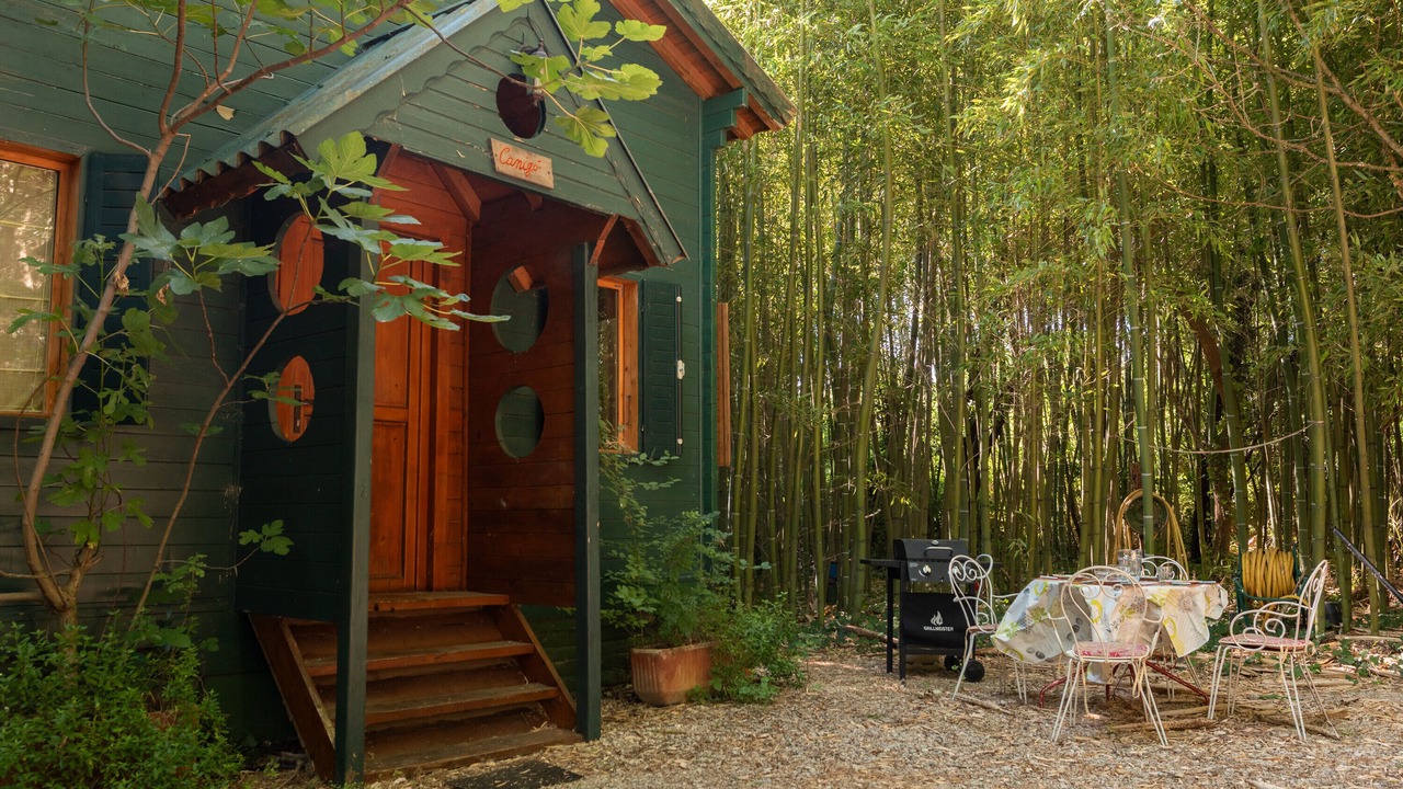 Photo of Outdoor in Le Soler