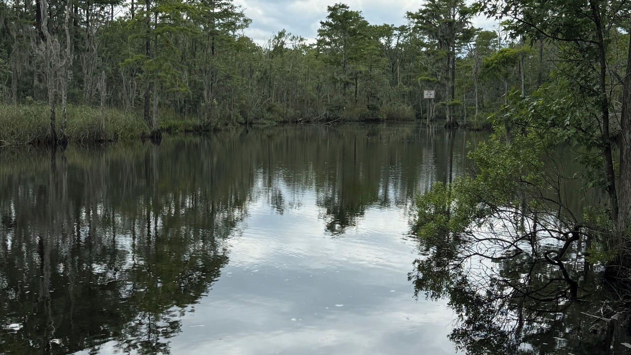 Photo of Others in Havelock