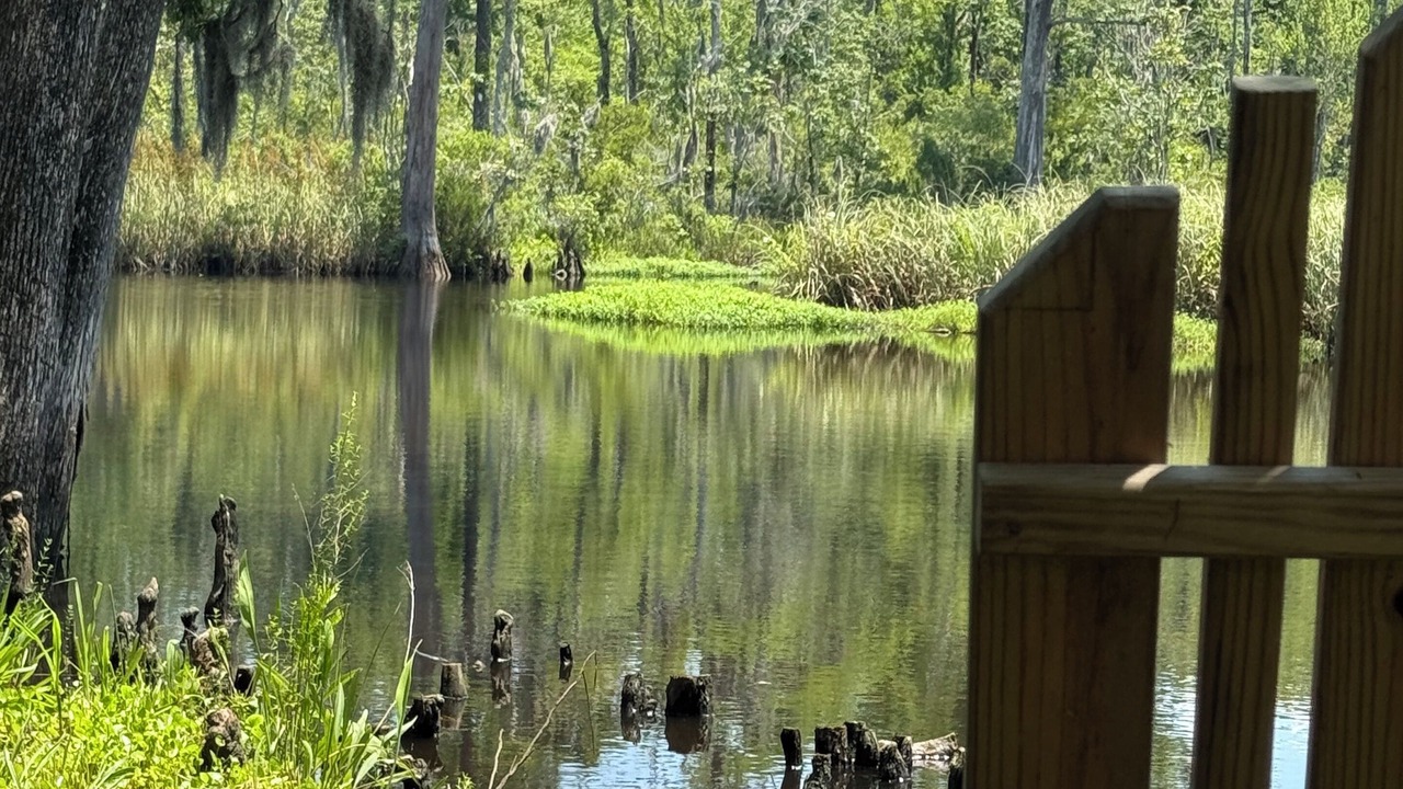 Photo of Outdoor in Havelock