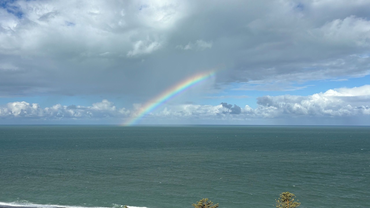 Photo of Others in Bluff Hill