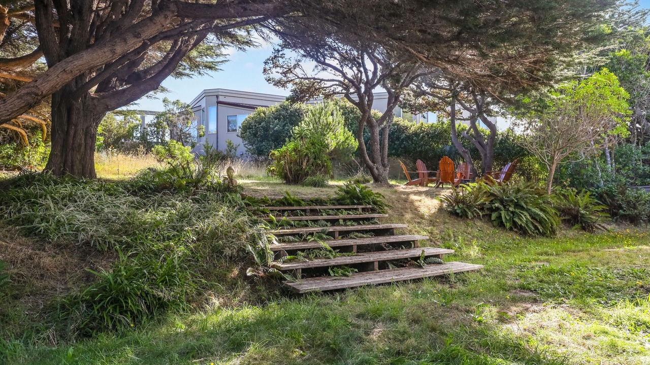 Photo of Outdoor in Bodega Bay