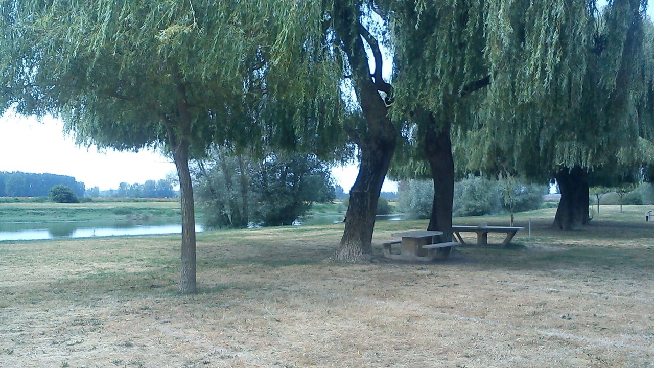 Photo of Outdoor in Briollay