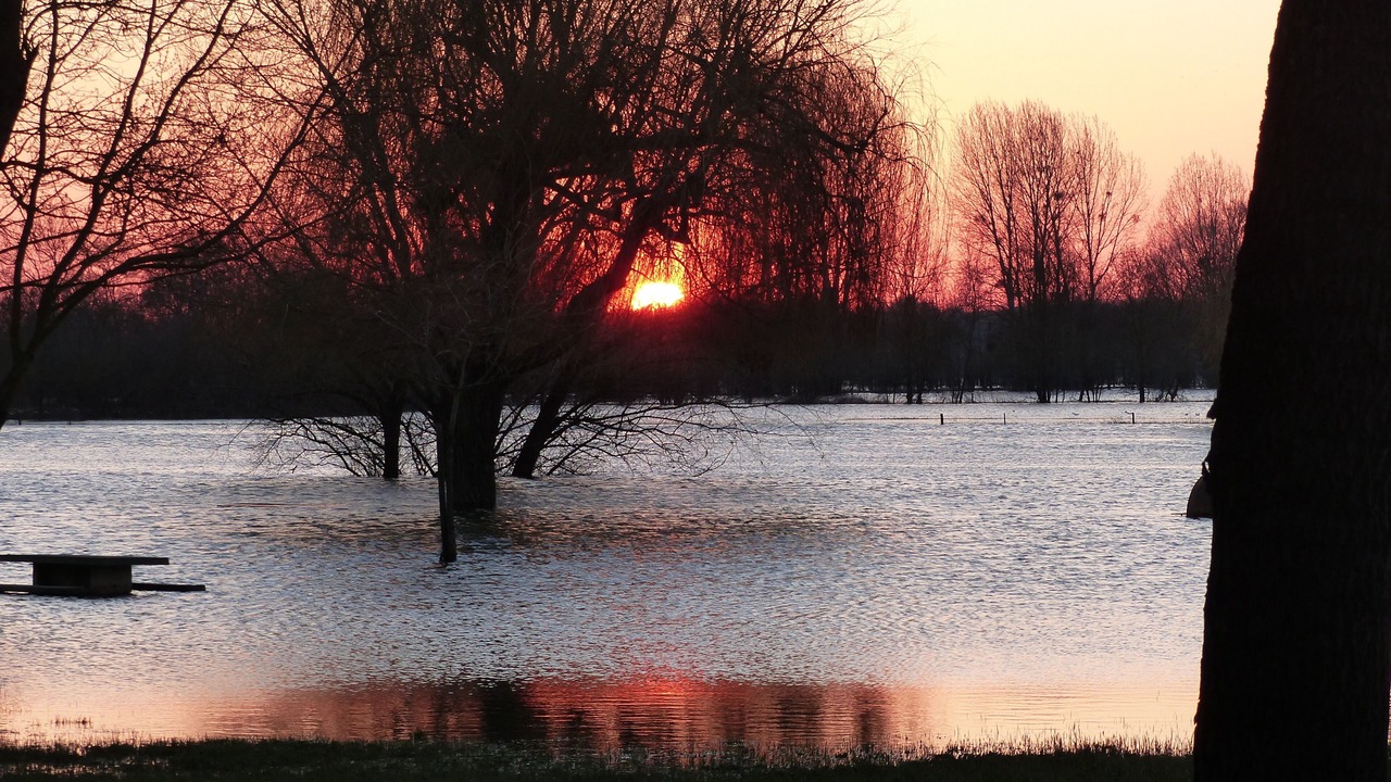 Photo of Others in Briollay
