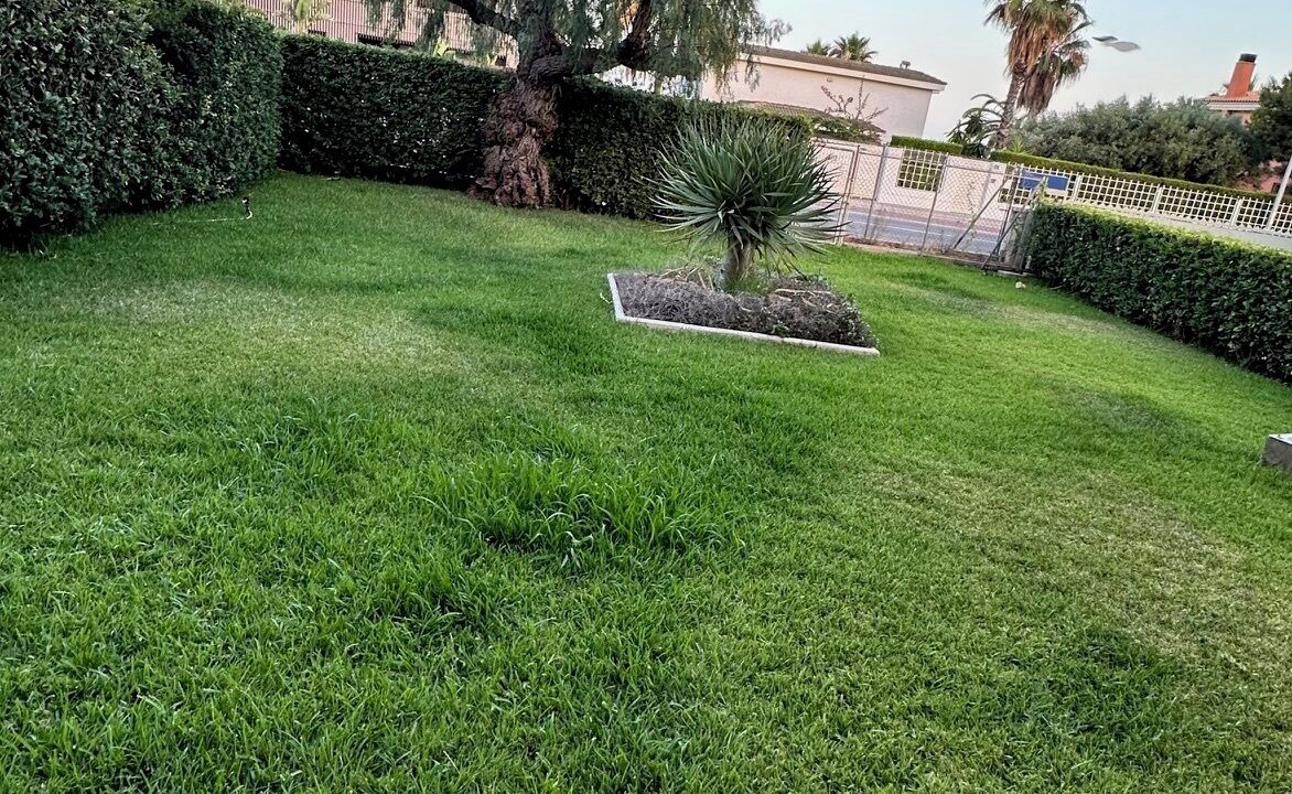 Photo of Outdoor in Benicassim