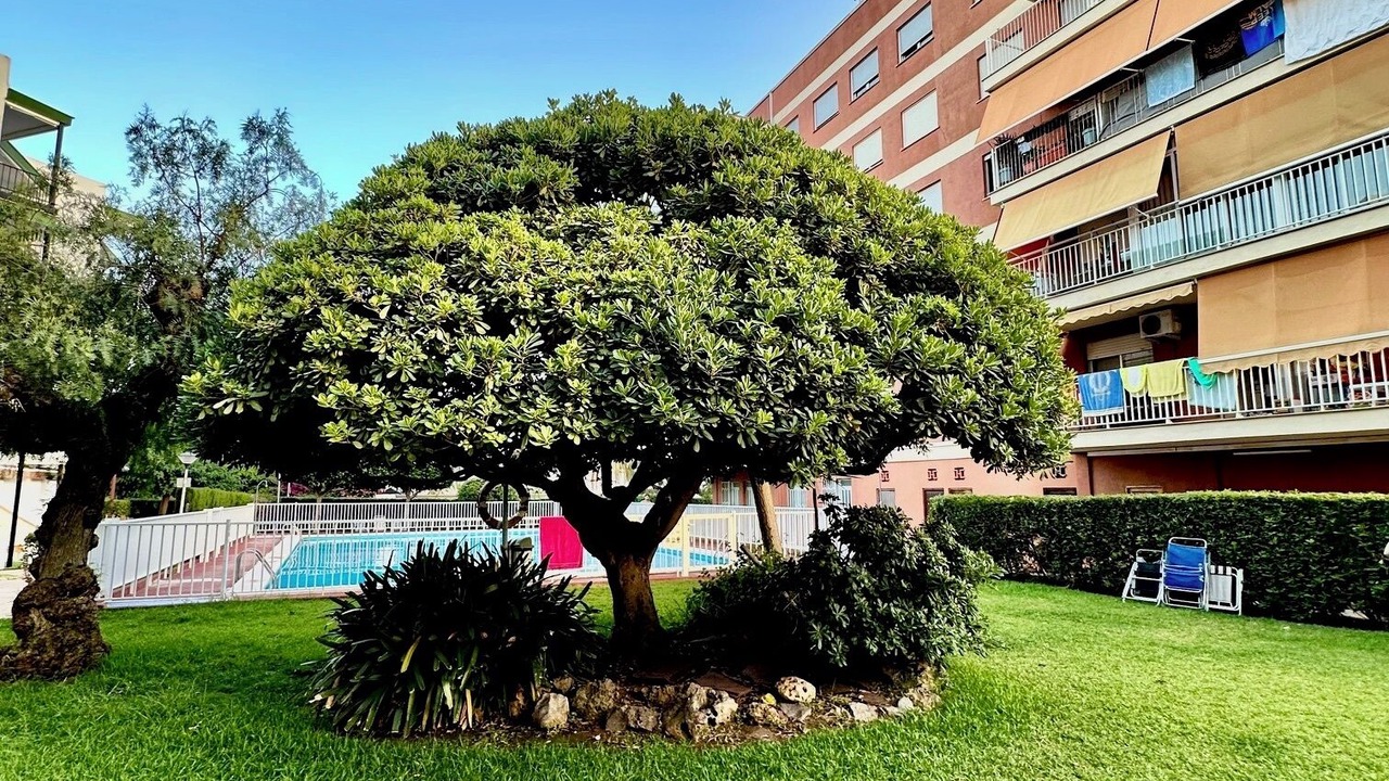 Photo of Outdoor in Benicassim