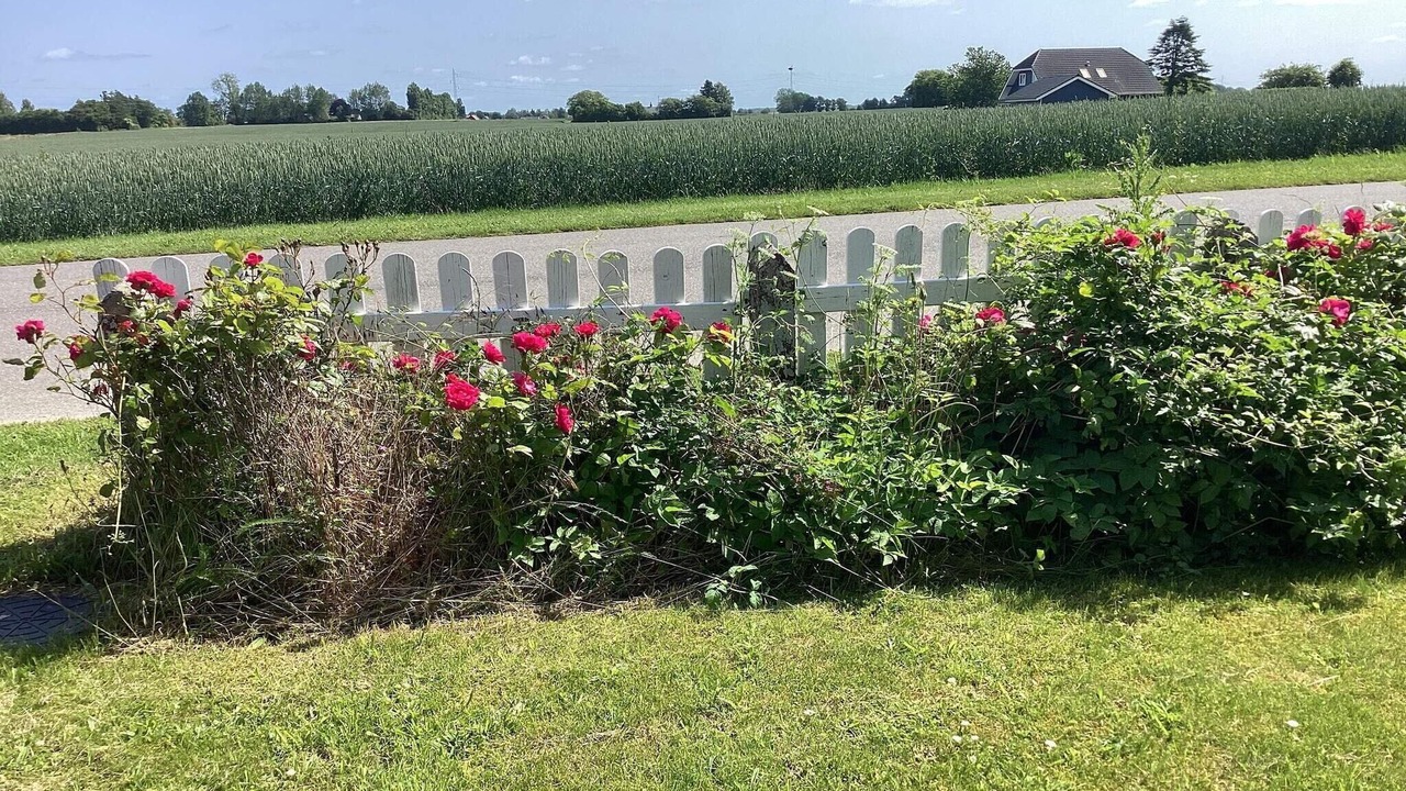 Photo of Outdoor in Lolland Municipality