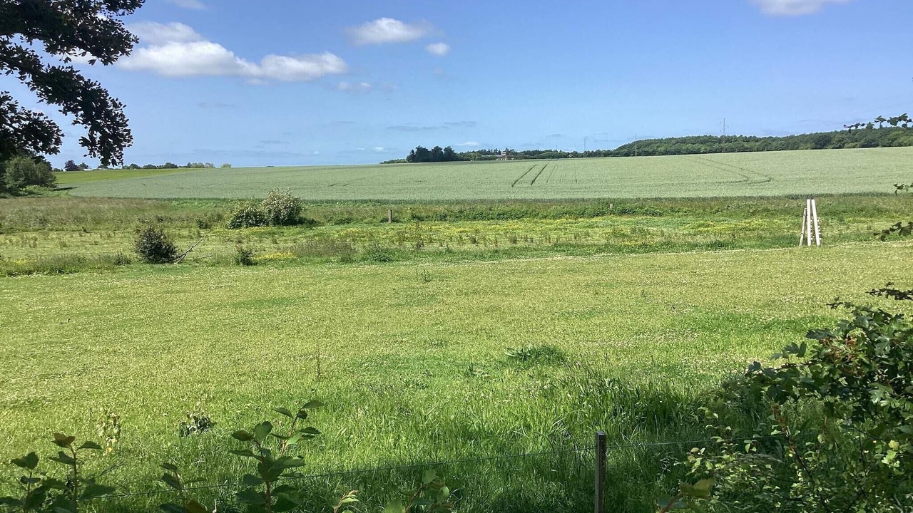 Photo of Outdoor in Lolland Municipality