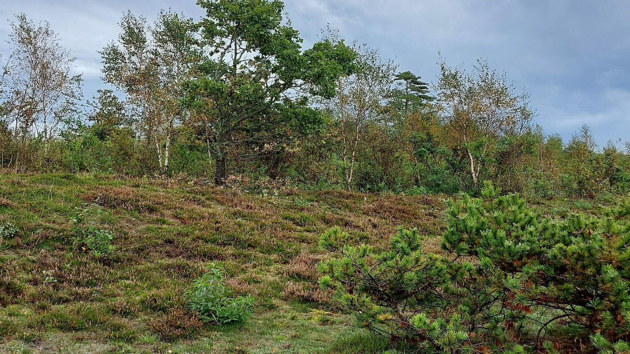 Photo of Others in Gatten