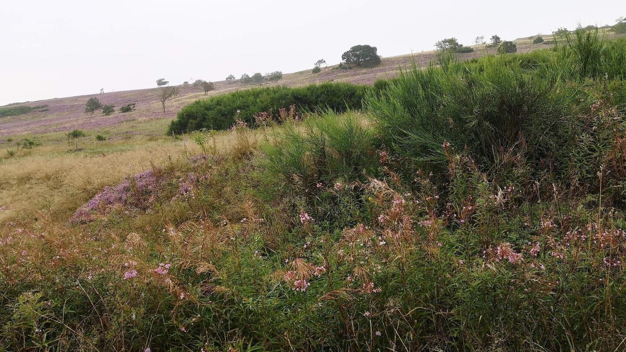 Photo of Others in Gatten