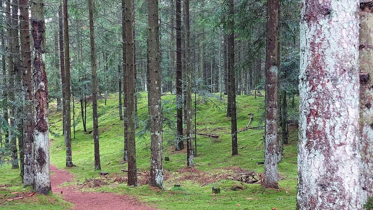 Photo of Others in Gatten